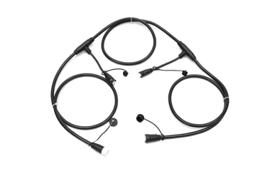 La cría de animales